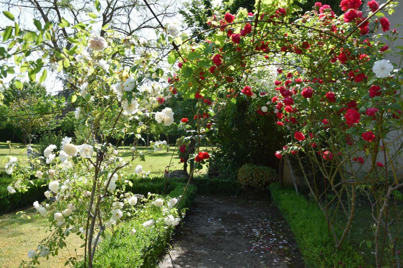 L'Intemporelle B&B Le Buisson-de-Cadouin Bagian luar foto