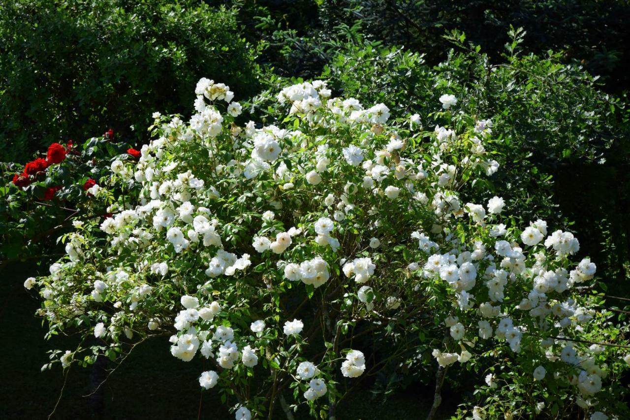 L'Intemporelle B&B Le Buisson-de-Cadouin Bagian luar foto